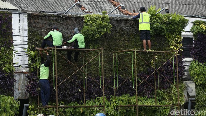 Taman Vertikal Tugu Tani Dipercantik Perawatan dan pemeliharaan Taman Vertikal Tugu Tani, Jakarta, terus dilakukan. Hal ini untuk membuat taman tersebut sedap dipandang.