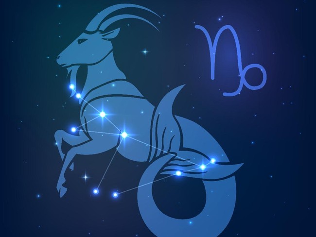 Capricorn - a constellation of the zodiac in the night starry sky
