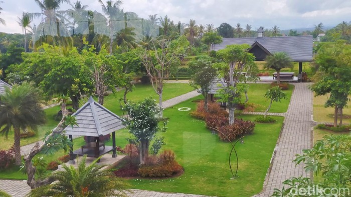 Ada Kafe Seluas 2 Hektar di Banyuwangi Terluas di Indonesia