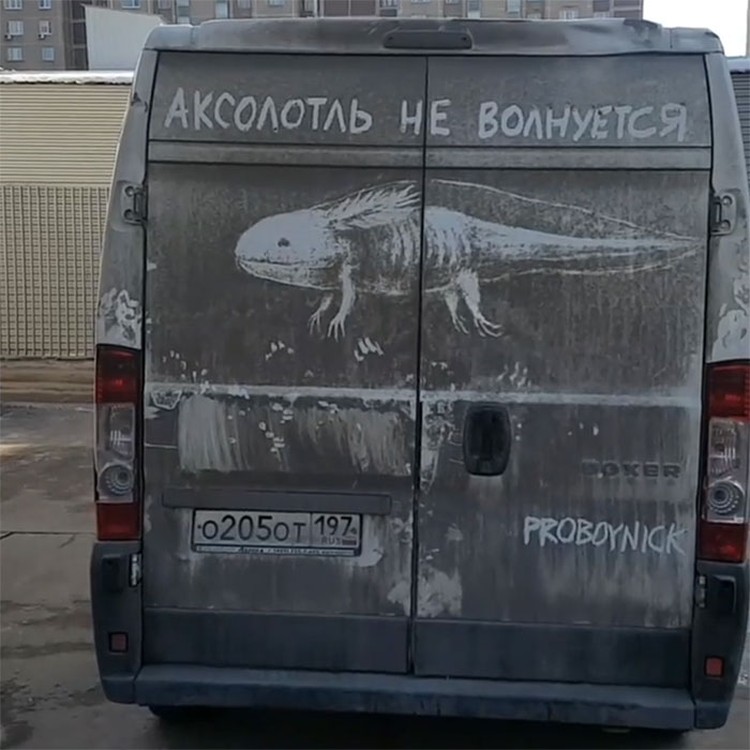 fotoinet truk kreatif Nikita Golubev fotoinet truk kreatif Nikita Golubev