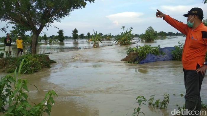 Hujan Deras Lebih 4 Jam, Tanggul Sungai di Lamongan Jebol