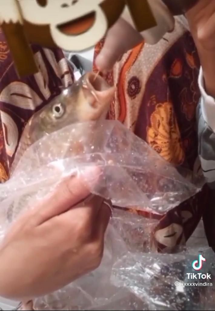 Kocak! Wanita Ini Susui Ikan Peliharaannya Pakai Botol Susu