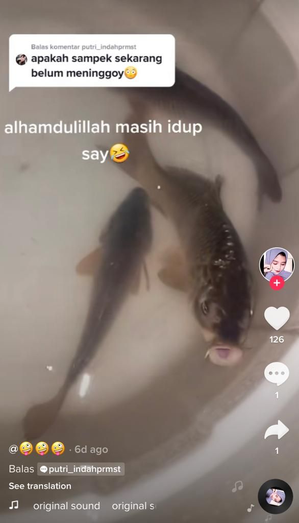 Kocak! Wanita Ini Susui Ikan Peliharaannya Pakai Botol Susu