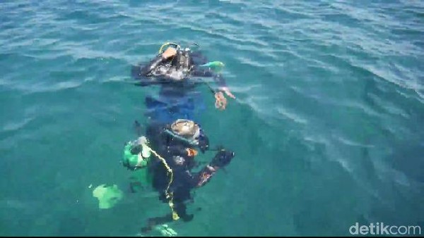 Selanjutnya, pengunjung bisa diving menyisir hamparan terumbu karang seluas 3,5 hektar yang terbagi dalam dua spot. Selanjutnya, pengunjung bisa diving menyisir hamparan terumbu karang seluas 3,5 hektar yang terbagi dalam dua spot.