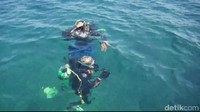 Pengunjung bisa memulai diving dengan menyusur hamparan terumbu karang seluas 3,5 hektar yang terbagi dalam dua spot. Kamu bisa bermain dengan ikan nemo yang jadi satwa endemik alam bawah laut Pantai Bohay(M Rofiq/detikcom)