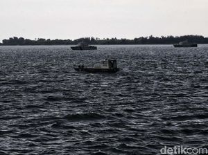 2 Penyelam Pramuka Bantu Basarnas Evakuasi Korban Sriwijaya Air