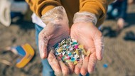 Plastik di Mana-mana, Tertelan dan Masuk Tubuh Manusia