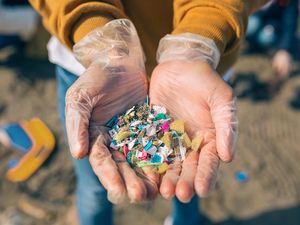Horor, Mikroplastik Kemasan Makanan Ditemukan di Jantung Manusia