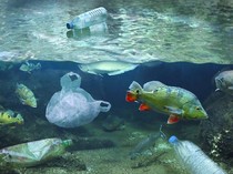 BRIN Gelar Ekspedisi IMPOLSE 2025, Berlayar 31 Hari Teliti Mikroplastik di Laut RI