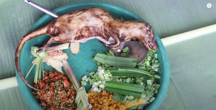 Wow! YouTuber Ini Masak Daging Tikus Bambu di Tengah Hutan