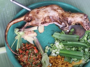 Wow! YouTuber Ini Masak Daging Tikus Bambu di Tengah Hutan