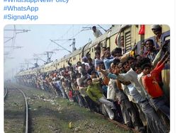 Meme Pengguna WhatsApp Berbondong-bondong Pindah ke Signal