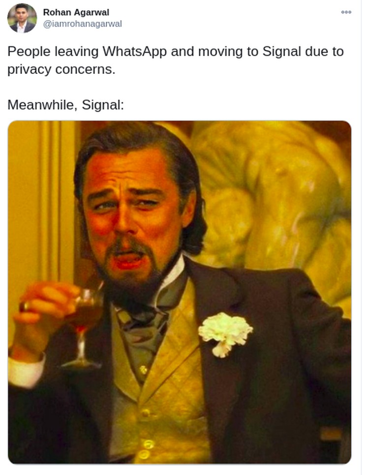 meme signal whatsapp