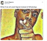 meme signal whatsapp