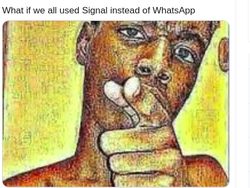 Meme Pengguna WhatsApp Berbondong-bondong Pindah ke Signal