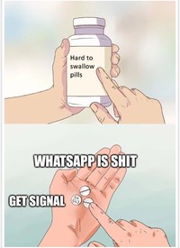 meme signal whatsapp