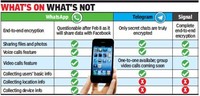 meme signal whatsapp