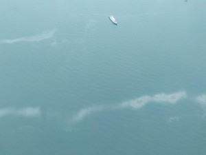 Cari Sriwijaya Air Lewat Udara, TNI AU Temukan Tumpahan Minyak di Laut
