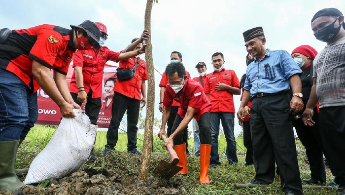 PDIP Surabaya menanam pohon trembesi dan memberikan bibit tanaman sayur mayur. Aksi ini digelar di kawasan permukiman Sememi Jaya, Kelurahan Sememi, Kecamatan Benowo.