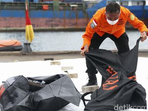 Evakuasi SJ182, Total 19 Kantong Berisi Bagian Tubuh Diterima Basarnas