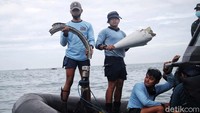 Seperti diketahui, pesawat Sriwijaya Air rute Jakarta-Pontianak dengan nomor penerbangan SJ182 diperkirakan jatuh di antara Pulau Laki dan Pulau Lancang, Kepulauan Seribu.