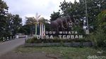 Foto: Situs di Kudus Simpan Aneka Fosil Hewan Purba