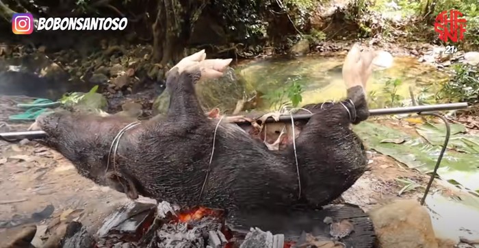 Nyeleneh! YouTuber Masak Babi Hutan Pakai Bumbu Micin 3 Bungkus