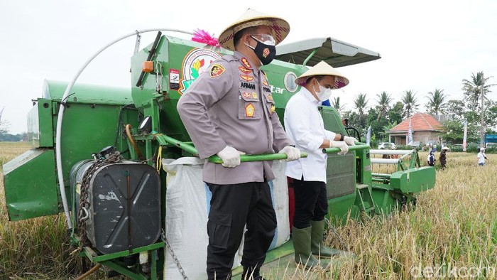 Jatah Alokasi Pupuk Subsidi di Banyuwangi Bertambah
