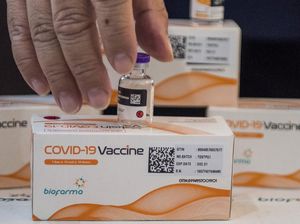 Strategi Bio Farma Genjot Vaksinasi Pakai Sinovac