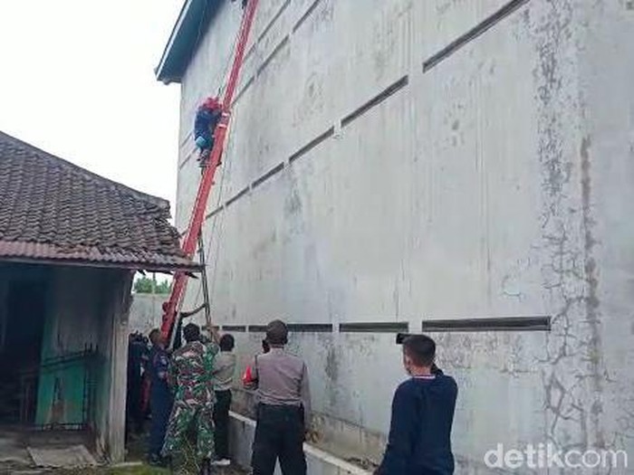 Dua pekerja di Bojonegoro keracunan kotoran kelelawar hingga pingsan. Mereka keracunan saat membersihkan kotoran kelelawar di bangunan sarang burung walet setinggi 10 meter.
