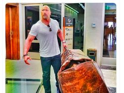 Meme User WhatsApp Pindah Telegram Tapi Dibeli Zuckerberg