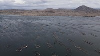 Meletusnya Gunung Taal menjadi salah satu bencana alam terbesar yang terjadi di dunia pada tahun 2020 silam.  