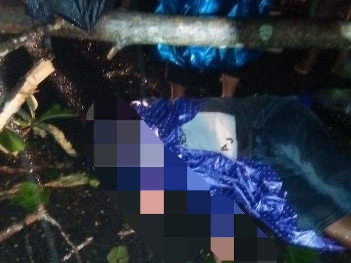 Hujan deras mengguyur Kecamatan Gemarang Kabupaten Madiun. Pohon jati tumbang menimpa anggota Satpol PP yang tengah berkendara hingga tewas.
