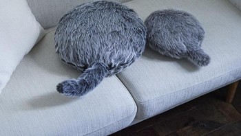 Ingin punya peliharaan tapi alergi atau akomodasinya tidak memungkinkan? Robot Qoobo dan Petit Qoobo bisa jadi jawabannya. Robot ini bisa merespons suara di sekitarnya dan ekornya bisa bergoyang saat disentuh. Foto: Yukai Engineering