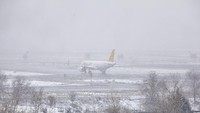 Dilansir US News, Senin (11/1/2021), Badai Filomena tersebut juga melumpuhkan operasi transportasi di Spanyol. AP Photo/Jesus Hellin  