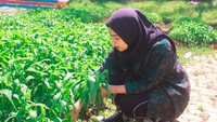 Untuk menambah pengalaman dan wawasan, ada pula wisata edukasi. Traveler bisa melakukan berbagai kegitan di wahana agro sawah, agro sayur, taman burung dan penerbangan.( dok. Taman Wisata Matahari)