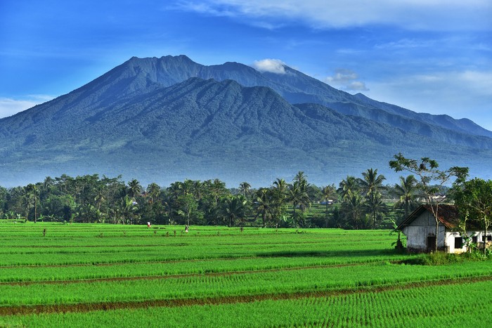 after the last eruption in 1982 which was so terrible. galunggung mountain looks beautiful from a distance.