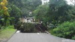 Hati-hati! Jalan Utama Wonosobo-Kebumen Ambles