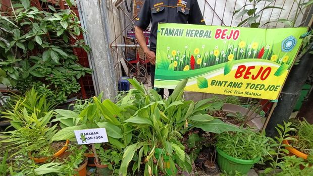 Kapolda Metro dan Pangdam Jaya Tinjau Kampung Tangguh di Tambora (Foto: Karin/detikcom)