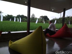 Kafe Ini Cocok Buat Healing, Bisa Ngopi di Tengah Sawah