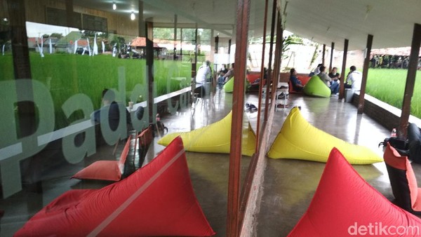 Potret Kafe Kekinian Cirebon yang Ada di Areal Pesawahan
