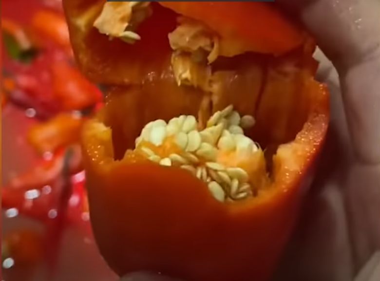 Pakai Cabe hingga Susu, Kolam Pemandian Hot Pot Ini Dihujani Kritik