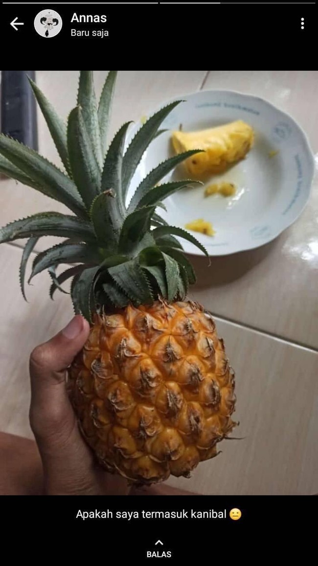 Ada yang ngerti maksud status ini apa? Sungguh, teramat sangat sulit dipahami dan bikin kesal. Foto: Twitter/@txtdrstoryWA