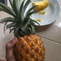 Ada yang ngerti maksud status ini apa? Sungguh, teramat sangat sulit dipahami dan bikin kesal. Foto: Twitter/@txtdrstoryWA