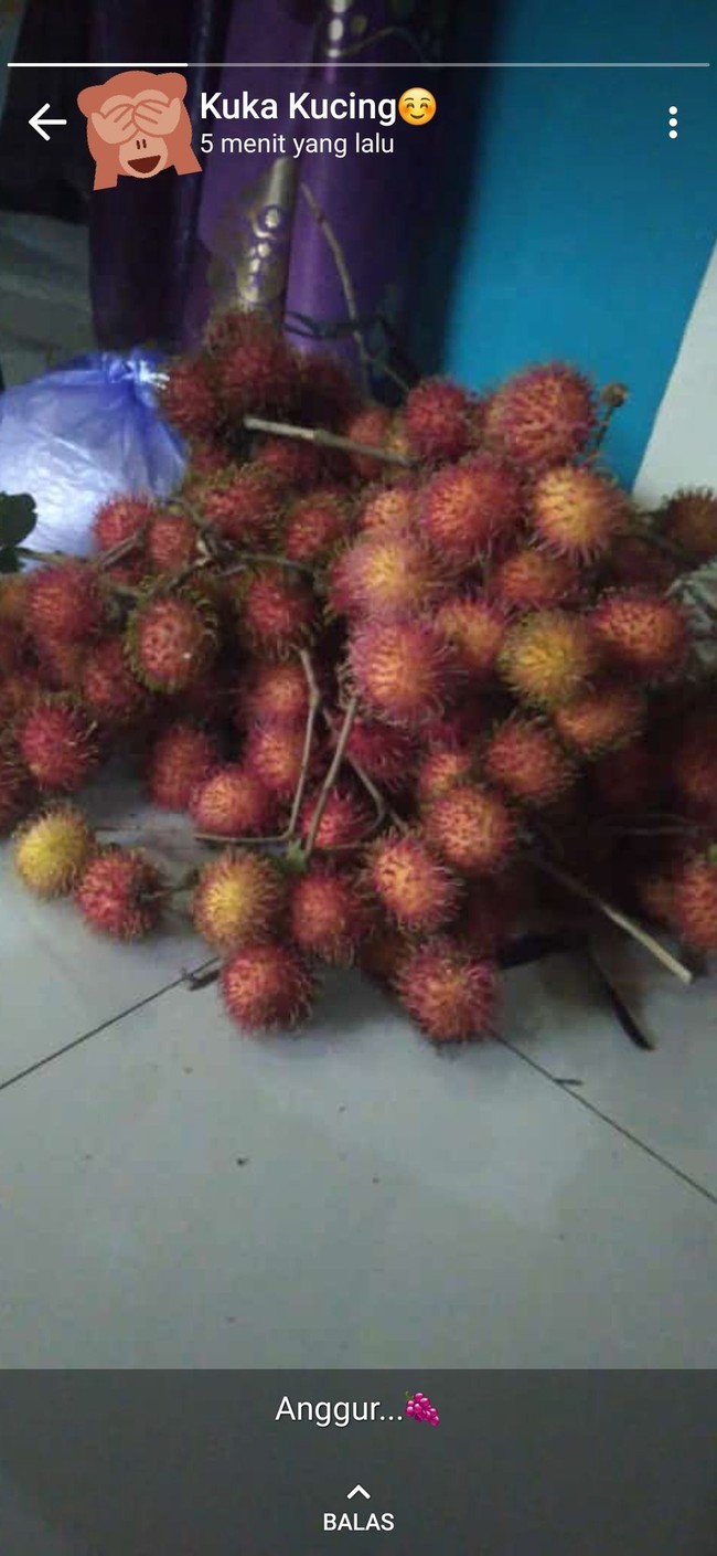 Yaelah, Panjul, sejak kapan anggur berubah bentuk jadi kayak gitu? Itu mah rambutan kali ah, bikin kesal aja deh.. Foto: Twitter/@txtdrstoryWA