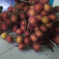 Yaelah, Panjul, sejak kapan anggur berubah bentuk jadi kayak gitu? Itu mah rambutan kali ah, bikin kesal aja deh.. Foto: Twitter/@txtdrstoryWA