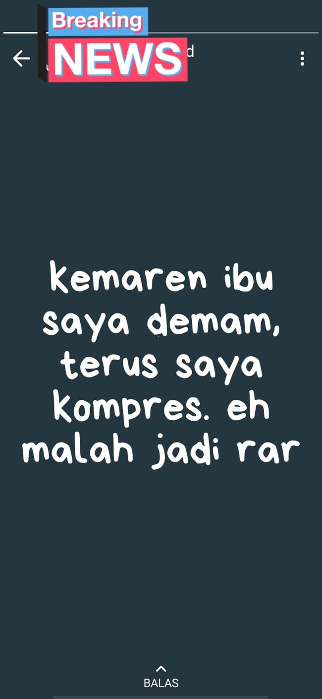 Mohon maaf ibunya manusia atau file di komputer sih ini? Auto ngakak! Foto: Twitter/@txtdrstoryWA