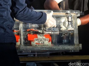 Paling Dicari saat Kecelakaan Pesawat, Berapa Harga Black Box?