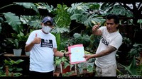 Hidmat sendiri membantah kisahnya membarter tanaman dengan rumah merupakan settingan. Dia memiliki bukti otentik proses transaksi. 