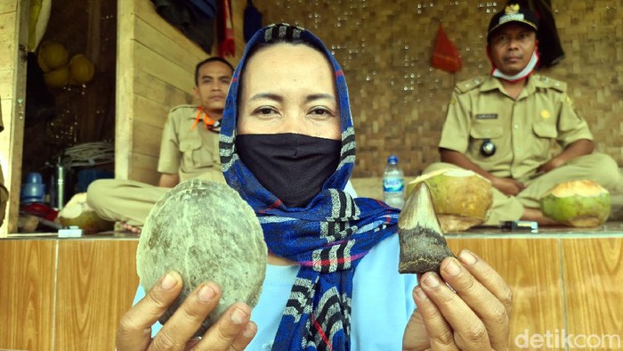Warga menemukan sejumlah fosil gigi hiu di pantai Selatan Sukabumi